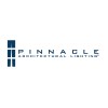 Pinnacle Architectural Lighting logo