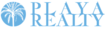 Playa Realty logo