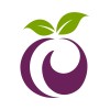 Plum Analytics logo