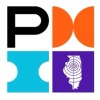 PMI-Central Illinois Chapter logo