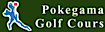 Pokegama Golf Course logo