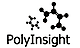 PolyInsight logo