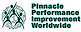 Pinnacle Performance Improvement Worldwide logo