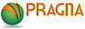 Pragna Solutions logo