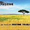 Pristine Trails Adventures and Safaris logo