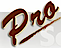 Pro Document Solutions logo