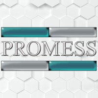 Promess logo