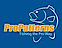 ProPatterns logo