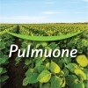 Pulmuone Foods Usa logo