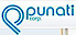 Punati Chemical logo