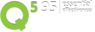 Q595 logo