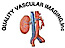 Quality Vascular Imaging logo