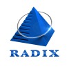 Radixweb logo