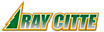 Ray Citte RV logo