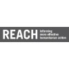 Reach Initiative logo