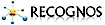 Recognos Romania logo