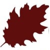 Red Oak Recovery logo