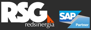RSG RedSinergia logo