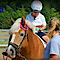 Rocking Horse Ranch Therapeutic Riding Program logo