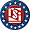 Risk Security & Investigations logo