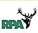 Robert Peccia & Associates logo