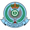 RSAF logo