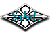 Sakal Surfboards logo