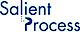 Salient Process logo