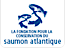 The Atlantic Salmon Conservation Foundation logo