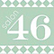 Salon 46 logo