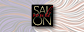 Salon Soulé logo