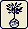 Schwope Brothers Tree Farms logo