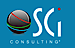 SCI Consulting logo