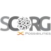 SCORG International Consulting logo