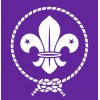 Scouts De España logo