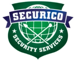 DDNS Security Operations trading SECURICO logo