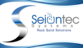 Seiontec Systems logo