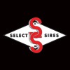 Select Sires logo