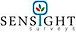 Sensight Surveys logo