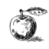 Shabby Apple logo