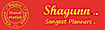 Shagunn India logo