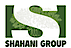 Shahani Group logo