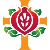 St John Of God Health Care logo