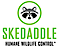 Skedaddle Humane Wildlife Control logo