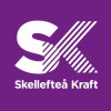 Skellefteå Kraft logo