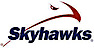 Skyhawks Sports Academy logo