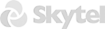 Skytel Group logo