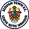 Slough Town Football Club logo