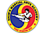 Shim''s Martial Arts Academy logo