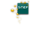 Snef logo